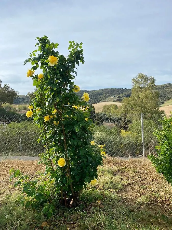 Villa Casa Rosa, El Torcal Almogía إسبانيا