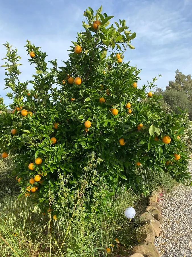 Villa Casa Rosa, El Torcal Almogía 0*,  إسبانيا